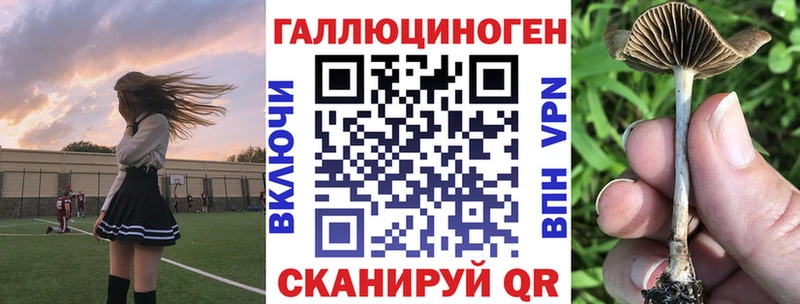 Галлюциногенные грибы мицелий  Ртищево 